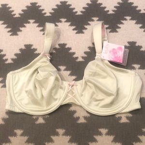 Lejaby light green bra, 36D